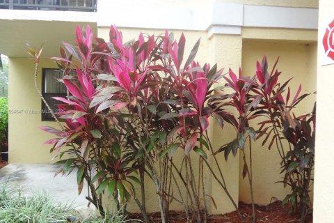 Condominio en alquiler en Plantation, Florida, 1 dormitorio, 74.88 m2 № 1956068 - foto 26