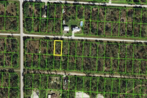 Terrain à vendre à Punta Gorda, Floride № 2205334 - photo 2