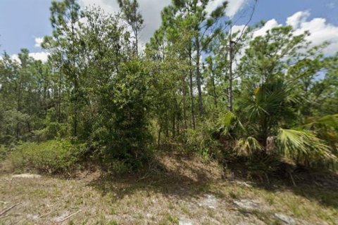 Land in Punta Gorda, Florida № 2205334