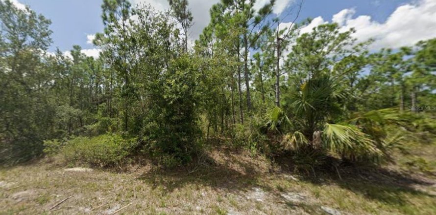 Terrain à Punta Gorda, Floride № 2205334