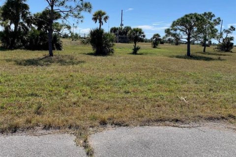 Land in Placida, Florida № 2164162