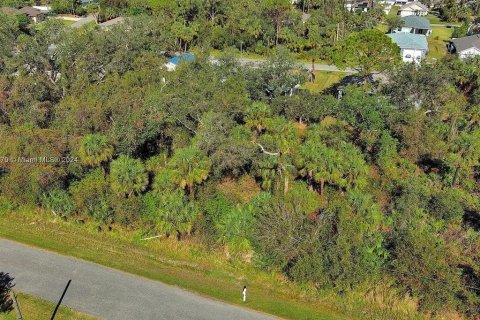 Land in North Port, Florida № 2164302 - photo 3