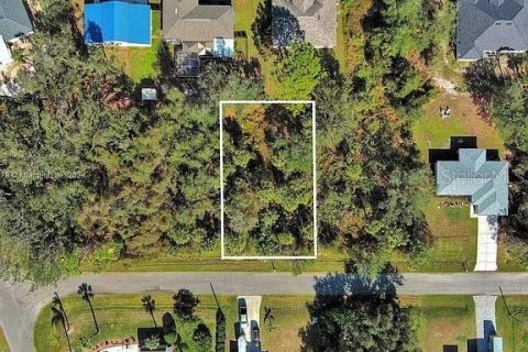 Land in North Port, Florida № 2164302 - photo 2
