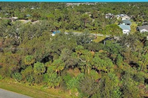 Land in North Port, Florida № 2164302 - photo 4