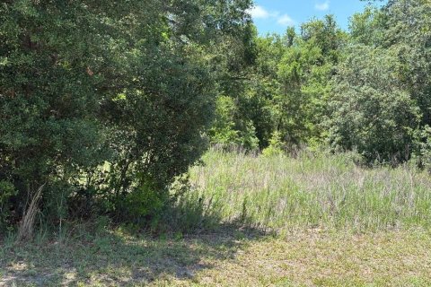 Villa ou maison à vendre à Hernando, Floride: 4 chambres, 170.94 m2 № 1800625 - photo 4
