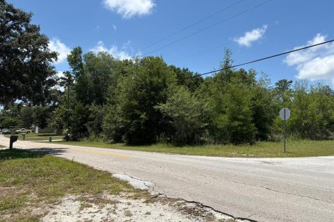 Villa ou maison à vendre à Hernando, Floride: 4 chambres, 170.94 m2 № 1800625 - photo 3
