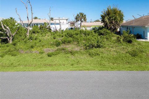 Land in Palm Coast, Florida № 1518616 - photo 3