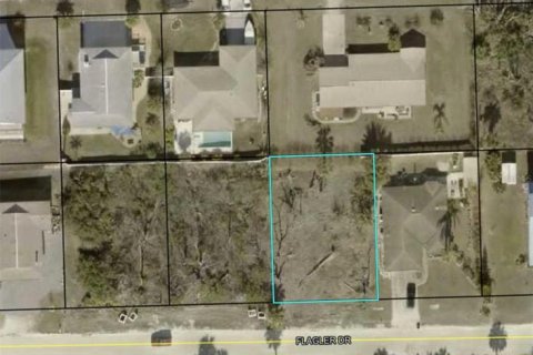 Land in Palm Coast, Florida № 1518616 - photo 4