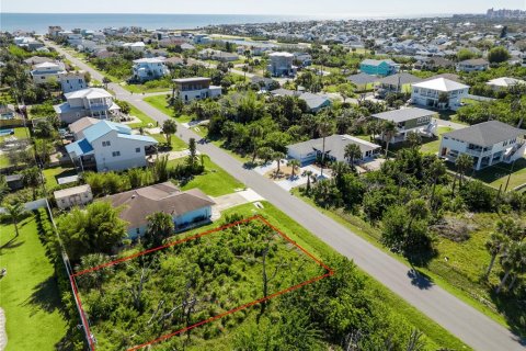 Land in Palm Coast, Florida № 1518616 - photo 6