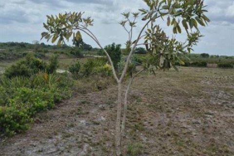 Terreno en venta en Okeechobee, Florida № 1598122 - foto 7
