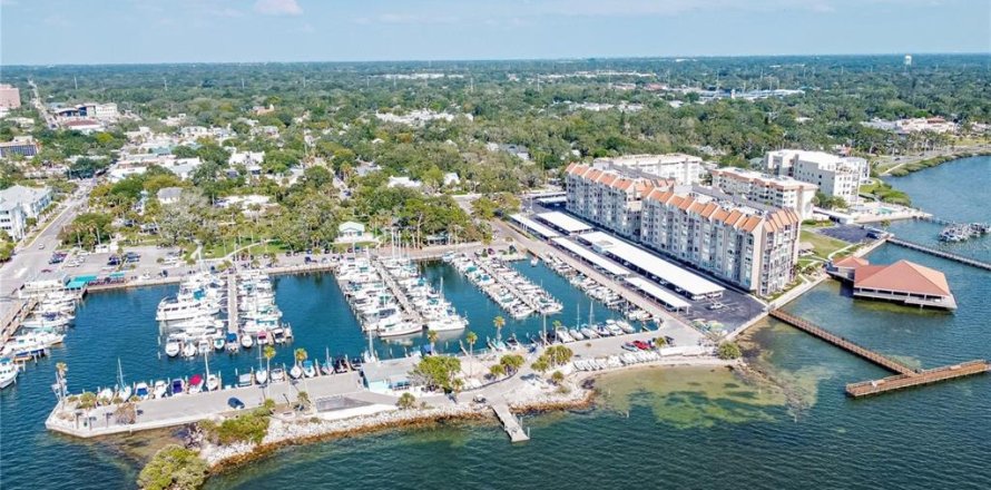 Condo à Dunedin, Floride, 2 chambres № 2101730