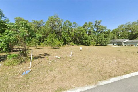 Land in Wildwood, Florida № 2165622