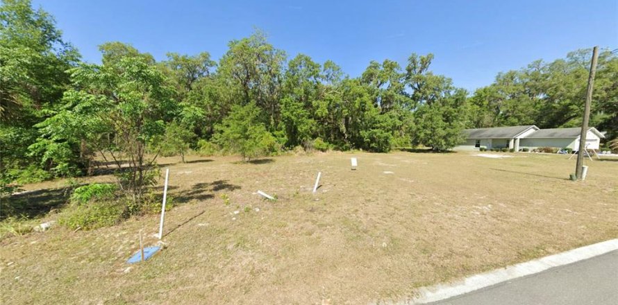 Land in Wildwood, Florida № 2165622