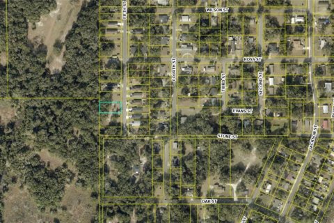 Land in Wildwood, Florida № 2165622 - photo 3