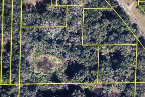 Terreno en venta en Mount Dora, Florida № 1907973 - foto 1