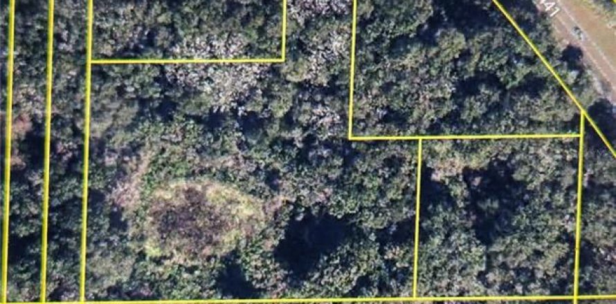 Terreno en Mount Dora, Florida № 1907973