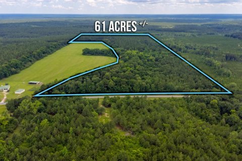 Land in Laurel Hill, Florida № 558344 - photo 1