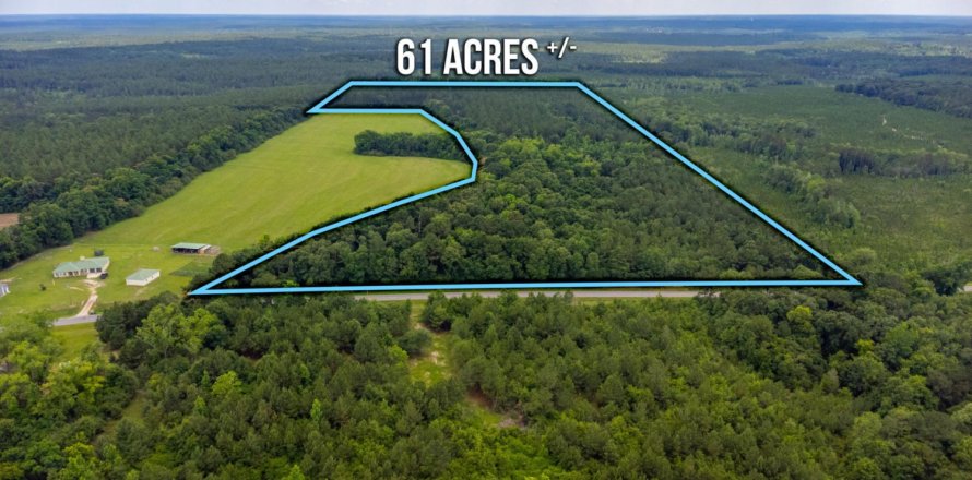 Land in Laurel Hill, Florida № 558344