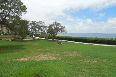 Condo in Tarpon Springs, Florida, 1 bedroom  № 2096639 - photo 18