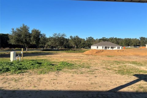 House in Dade City, Florida 4 bedrooms, 237.55 sq.m. № 2145502 - photo 4