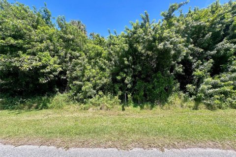 Land in Port Charlotte, Florida № 2225932