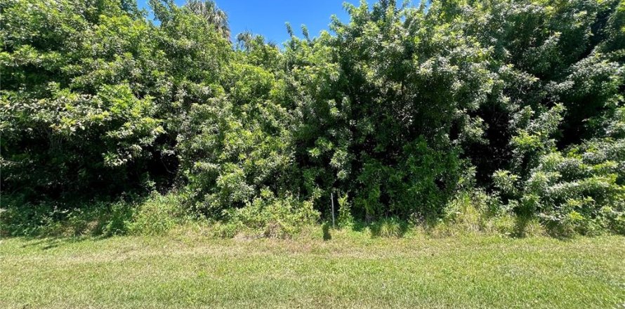 Land in Port Charlotte, Florida № 2225932