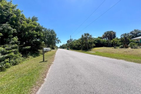 Land in Port Charlotte, Florida № 2225932 - photo 3