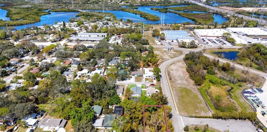 Land in Tarpon Springs, Florida № 1724296