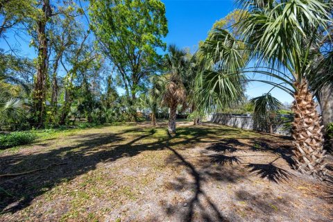 Land in Tarpon Springs, Florida № 1724296 - photo 12