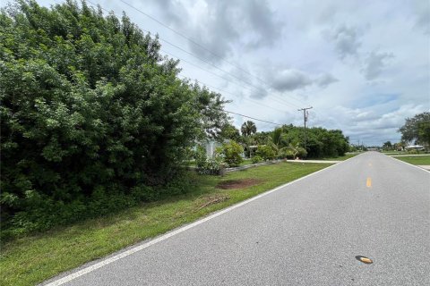 Land in Port Charlotte, Florida № 2275509 - photo 3