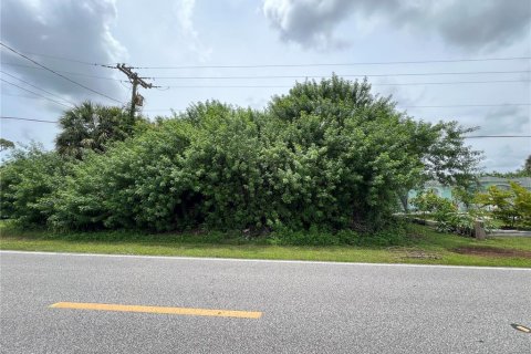 Land in Port Charlotte, Florida № 2275509 - photo 2