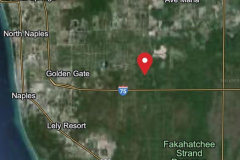 Land in Naples, Florida № 1056436 - photo 4