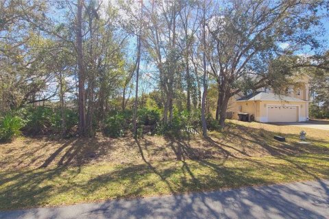 Land in Kissimmee, Florida № 1675199 - photo 5