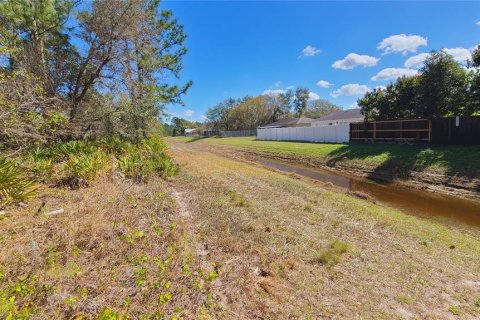 Land in Kissimmee, Florida № 1675199 - photo 4