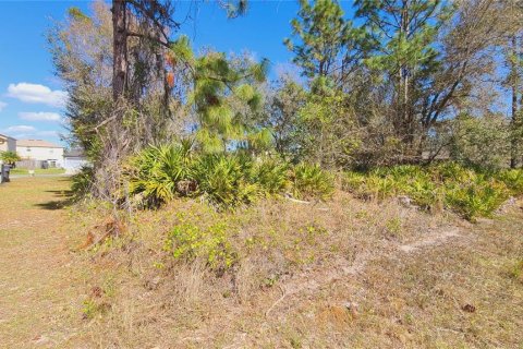 Land in Kissimmee, Florida № 1675199 - photo 3