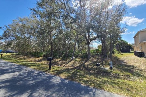 Land in Kissimmee, Florida № 1675199 - photo 1