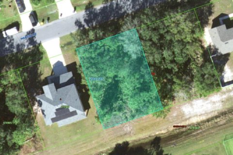 Land in Kissimmee, Florida № 1675199 - photo 6