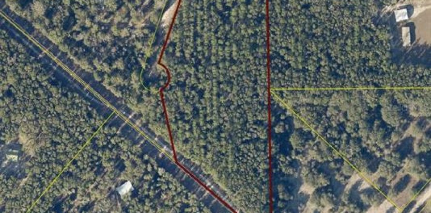 Land in Live Oak, Florida № 1647684