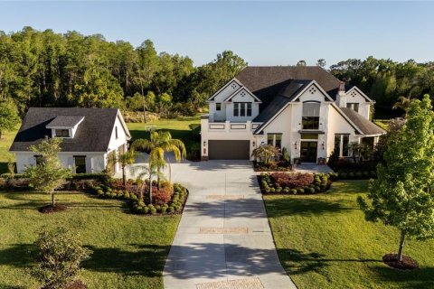 House in Odessa, Florida 6 bedrooms, 544.41 sq.m. № 2102167 - photo 4