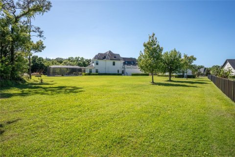 House in Odessa, Florida 6 bedrooms, 544.41 sq.m. № 2102167 - photo 8