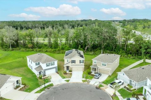 Купить виллу или дом в Плант-Сити, Флорида 8 комнат, 234.3м2, № 1773565 - фото 3