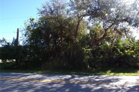 Terreno en venta en Port Charlotte, Florida № 1564726 - foto 1