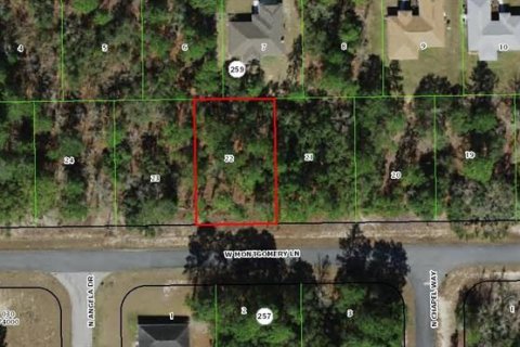 Land in Citrus Springs, Florida № 2162773 - photo 2