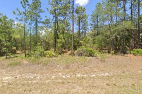 Land in Citrus Springs, Florida № 2162773