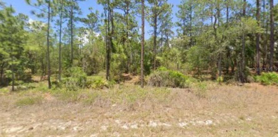 Land in Citrus Springs, Florida № 2162773