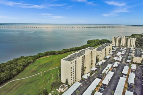 Condo à Clearwater, Floride, 1 chambre № 2354744