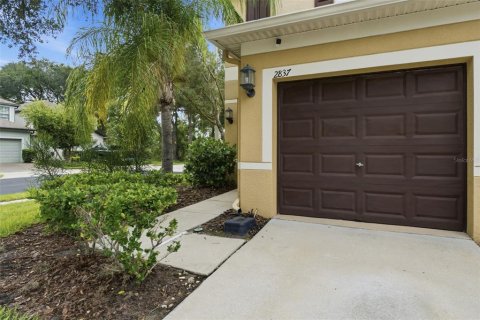 Touwnhouse à louer à Brandon, Floride: 2 chambres, 143.81 m2 № 2158008 - photo 2