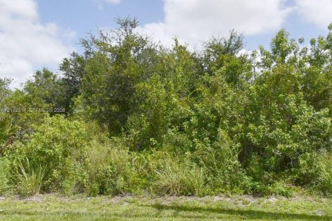 Immobilier commercial à vendre à Port St. Lucie, Floride № 2431305 - photo 3