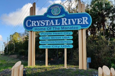 Land in Crystal River, Florida № 1910414 - photo 8