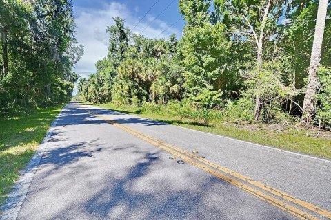 Land in Crystal River, Florida № 1910414 - photo 11